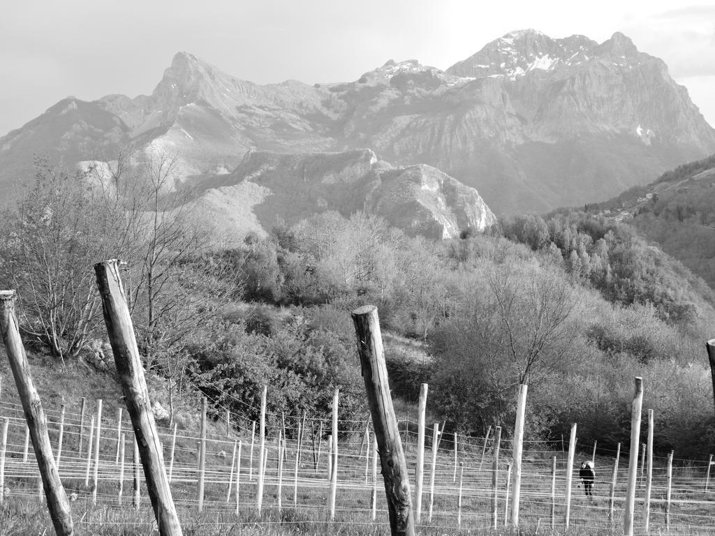 Rifugio Alpi Apuane * Careggine